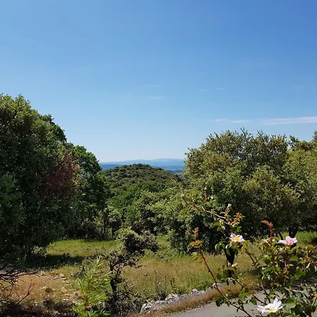 Retreat With Pool And Pets Villa *