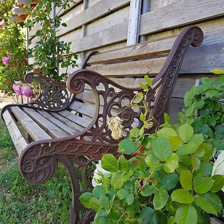 Retreat With Pool And Pets Villa Vélieux