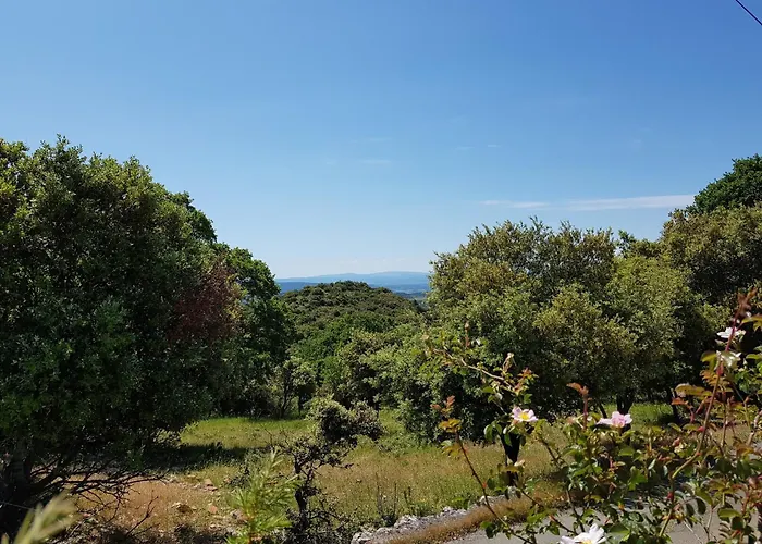 Retreat With Pool And Pets 빌라 *