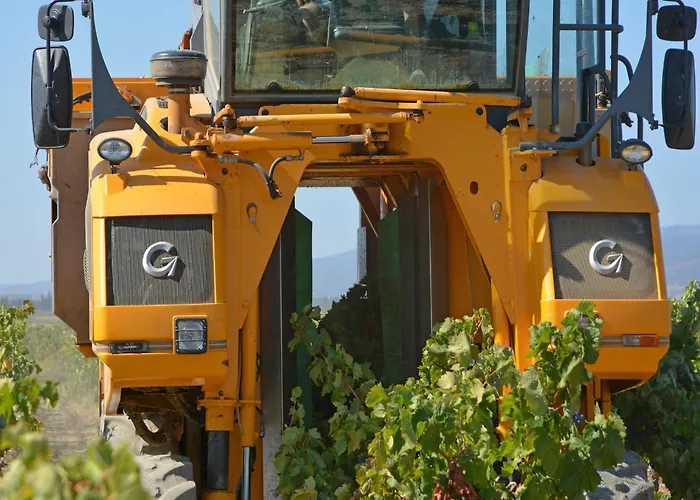 Retreat With Pool And Pets Vélieux